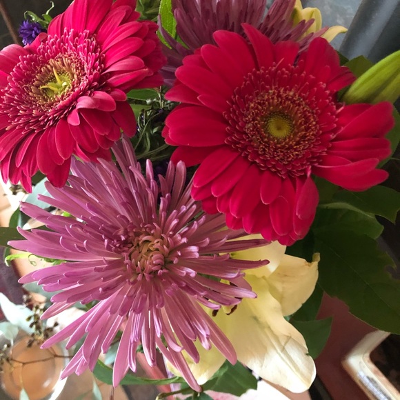 Meet your Posher, Tresa - Picture 6 of 7